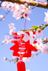 A traditional Chinese fabric hieroglyph for the Chinese New Year, hanging from a branch of a...