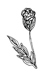 Hand drawn line art leaf element for decoration, scrapbook, design