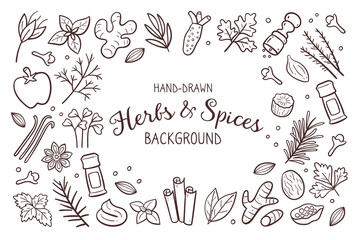 Hand-drawn herbs and spices background. Food ingredients for cooking illustration. Isolated doodle icons on white background. Vector illustration.