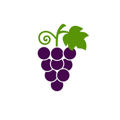 Grape bunch with leaf, icon, logo. Isolated on white background vector illustration.