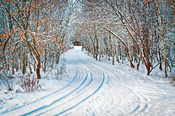 The road through the winter snow forest