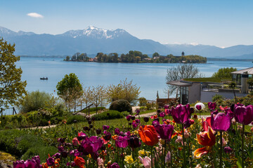 Blumen am Chiemsee