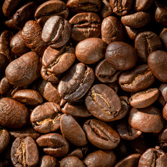 Close up of Roasted Coffee bean with selective focus