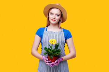 Young woman farmer or gardener in straw hat and apron, rubber gloves holding flower gerbera in pot in on yellow background