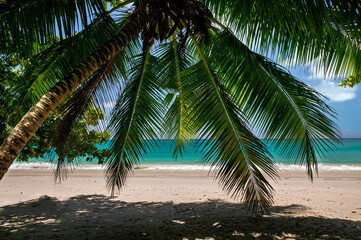Obraz premium Strand auf der Insel Sainte Anne, Seychellen