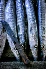 Barracudas am Markt in Victoria, Mahé, Seychellen