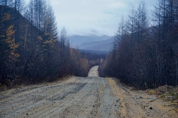 Gravel road in the taiga in the Trans Baikal Territory