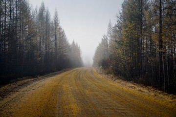 Fototapeta na wymiar Gravel road in the taiga in the Trans Baikal Territory
