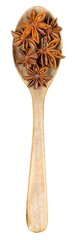 Asian colorful spices in wooden spoons