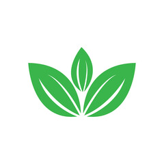 leaf logo icon vector design template