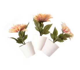 Pink artificial flowers in white pots isolated on white background