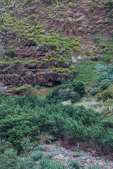 Fototapeta premium Grandes montañas de rocas y arboles de hojas verdes 
