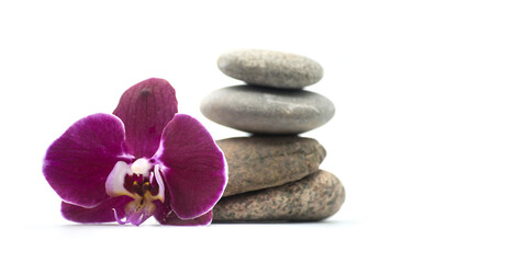Closeup of purple orchid and stone balance on white background