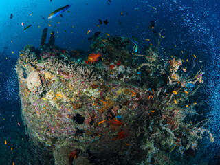 Shipwreck reef