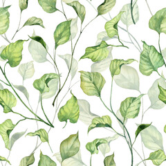 Square seamless pattern with botanical green leaves on twigs. Loopable green branches on white background. Watercolor hand painted floral wallpapers