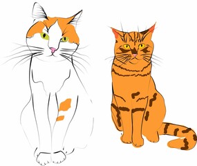 two red cats