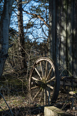 Fototapeta na wymiar Old unused cart wheel in the woods