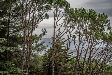 Obraz premium Deir El Qamar village beautiful green landscape and old architecture in mount Lebanon Middle east