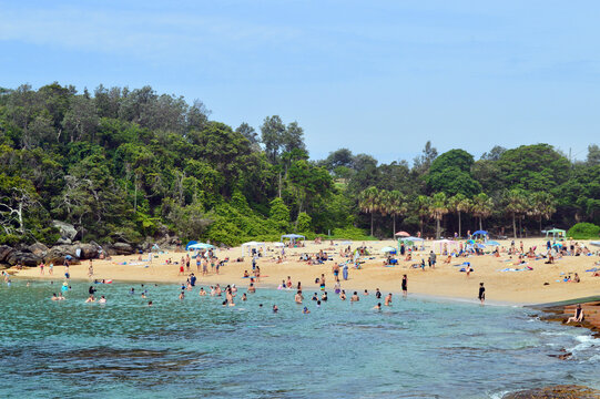 People swimming at Shelly Beach in Sydney, Australia