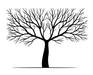 Obraz premium Black Tree. Vector outline Illustration.