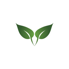leaf logo icon vector design template