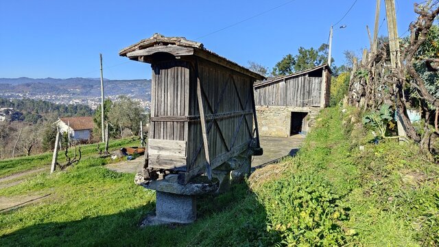 canastro, uma rel&iacute;quia dos agricultores de portugal