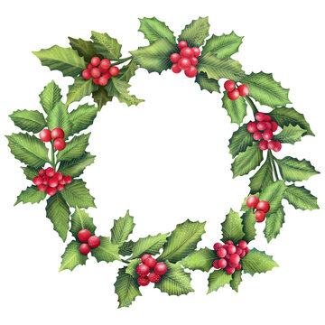  Watercolor wreath of holly branches. Hand painted floral circle border isolated on white background. 