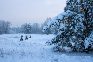 Riders driving in the quad bike race in winter in beautiful snowy off- road with pine trees in frozen forest. Group of people four-wheelers ATV bikes. Active leisure. © IhorStore
