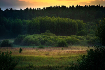 Yellow sunrise in morning forest nature view. Summer landscape in the Russia.