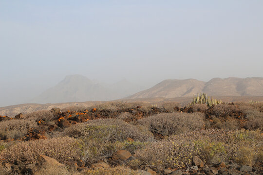Calima (Haze) weather condition with low visibility due to Sahara sand in the air on Tenerife island (Spain)