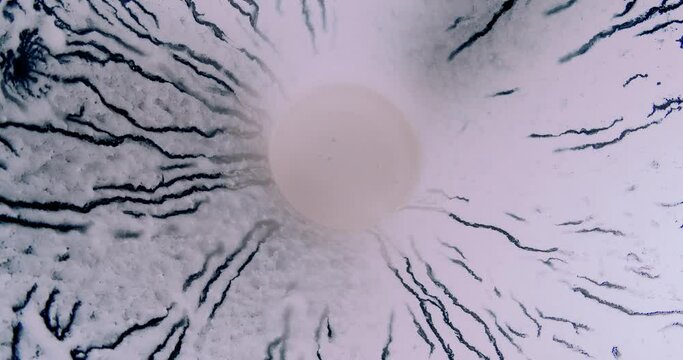 Divorces on the walls of a glass from kefir in an unexpected angle