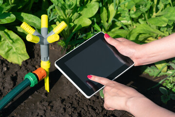 A gardener hands with a digital tablet using a smart garden application concept. Watering system. Electronic irrigation control. - obrazy, fototapety, plakaty