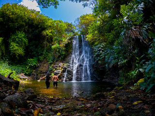 View of a waterfall hidden in a forest located in Mauritius	