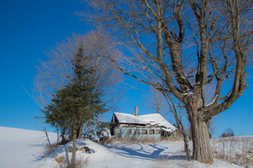 Very old abandoned house in Quebec winter, Estrie, Quebec, Canada
