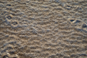 Top view of water washed frozen sea dune sand on a sunny day
