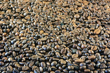 Dark roasted brown coffee beans