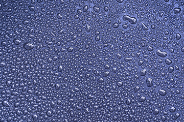 Drops, drips, blobs, beads, dribbles of water on the purple or lilac brilliant surface. Monochrome macro or closeup background or texture