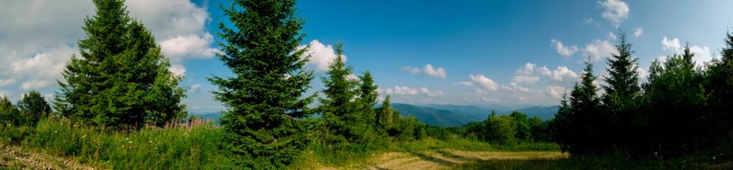 Panorama of a tourist tent on a green meadow on a background of forests and peaks