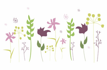 Fototapeta na wymiar Field plants set. Minimalistic drawing of flowers and herbs.