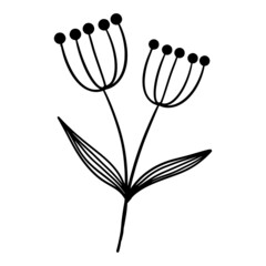 Hand drawn of vector vintage flowers elements