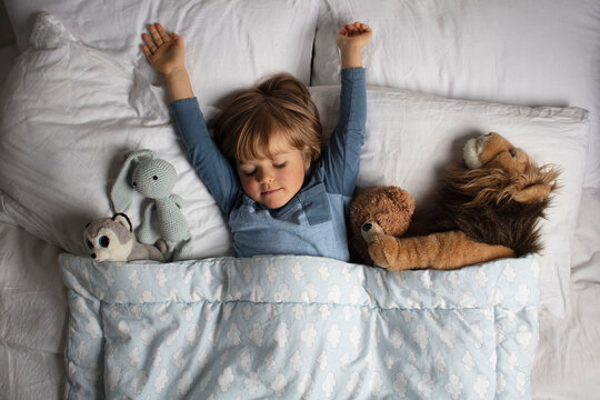 Healthy child, sweetest blonde toddler boy sleeping in a bed with a teddy bear and another stuffed animals. Beautiful baby boy have a healthy sleep in the bed. Sleeping baby.