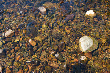 Crystal clear water in a Wyoming trout stream.