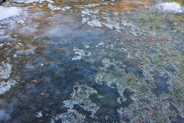 Close up view of grass peeking out from under ice. Winter landscape background. 