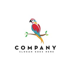colorful bird logo design perched in branch, parrot logo, vector, template © nurcreatedesign