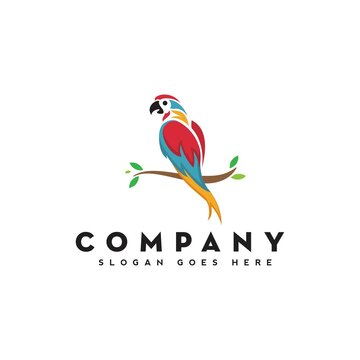 colorful bird logo design perched in branch, parrot logo, vector, template