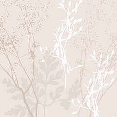 Delicate vector pattern wild flowers botanical background