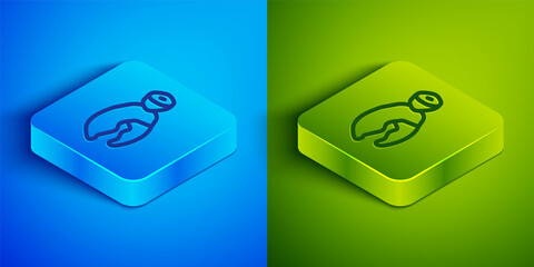 Isometric line Lobster or crab claw icon isolated on blue and green background. Square button. Vector