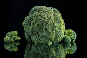 broccoli on a black background with ice cubes and crushed ice