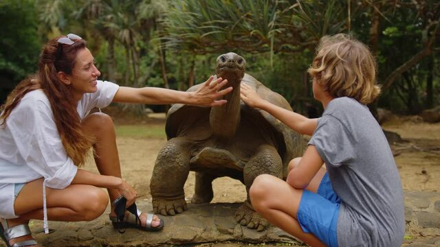 Interaction between humans and animals. Mom and son caress a big turtle in the zoo. The turtle enjoys the care of people.