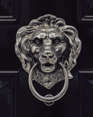 lion head door knocker